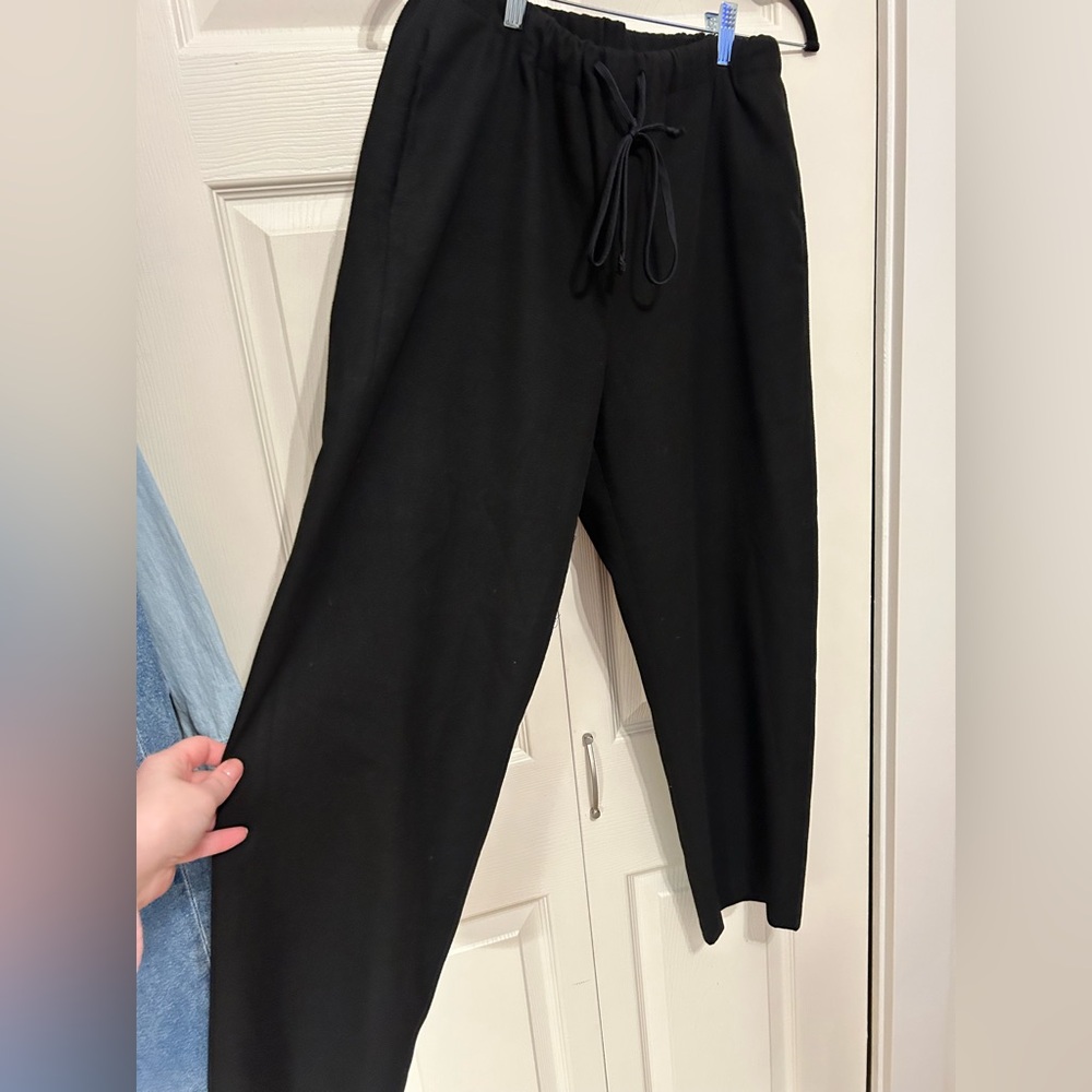 The Group BABATON (Aritzia) Black Ankle-Length Pants